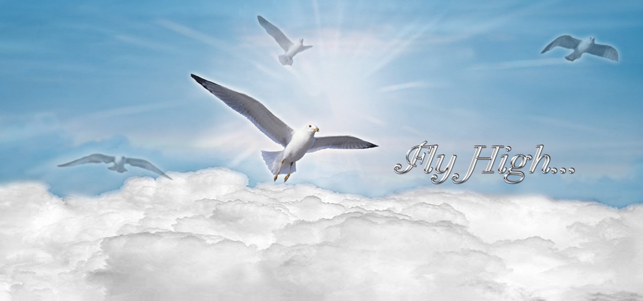 Journey Home Blue (Fly High) PROOF